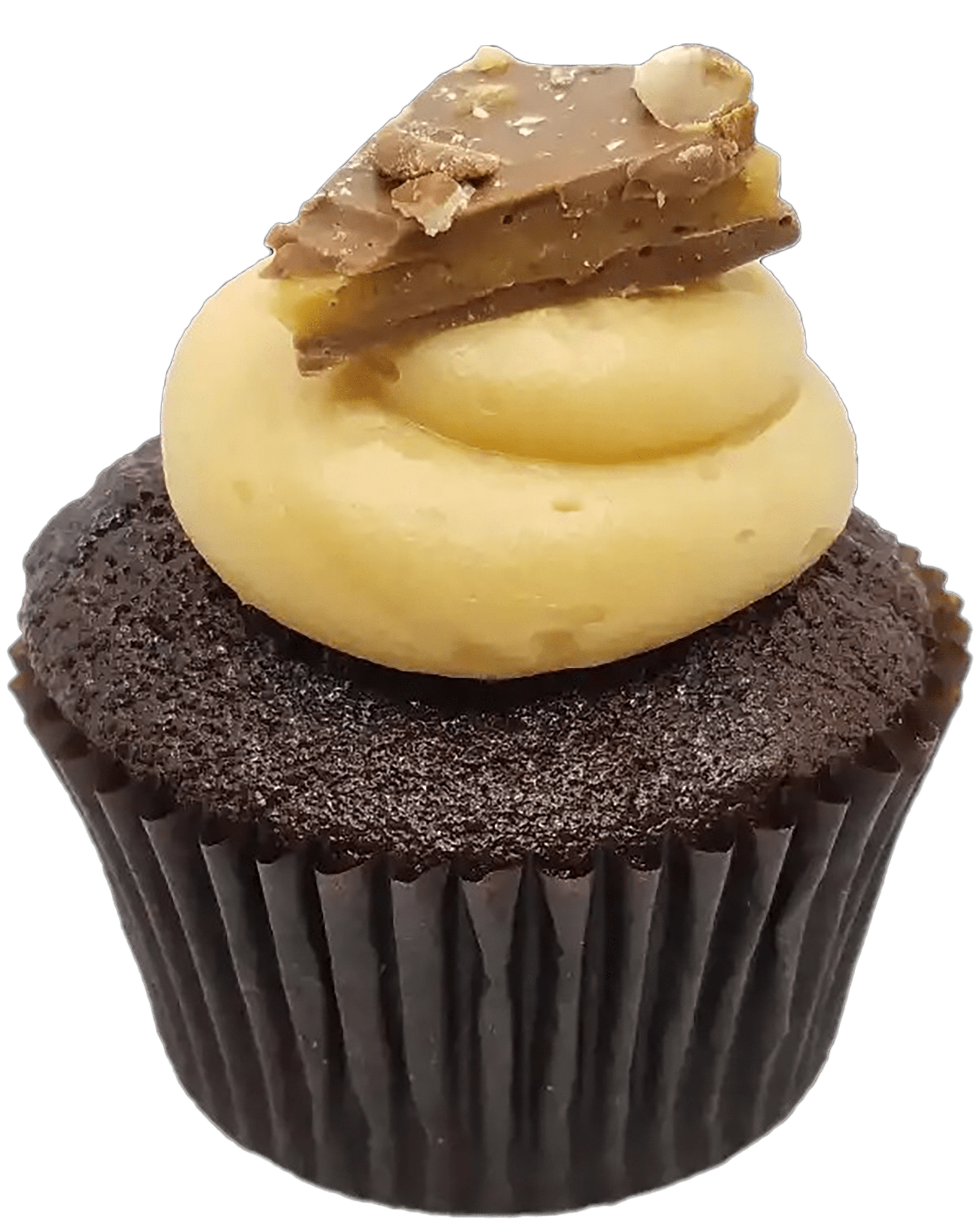 Chocolate Caramel Cupcake